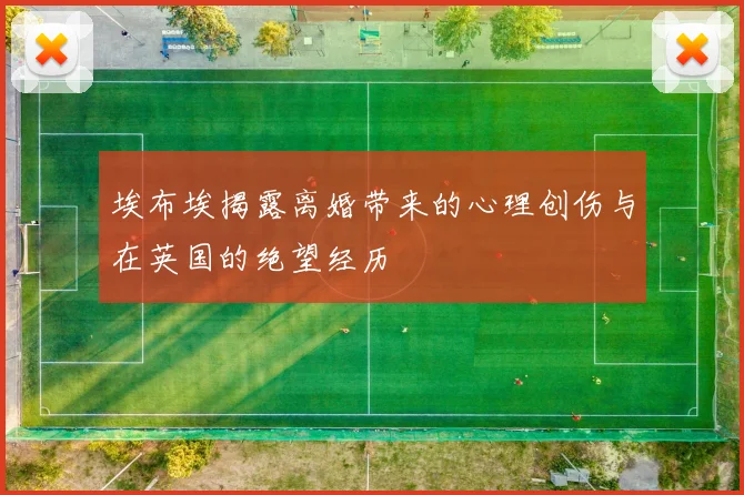 埃布埃揭露离婚带来的心理创伤与在英国的绝望经历
