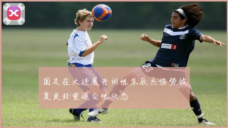 国足在大连展开训练朱辰杰伤势恢复良好重返合练状态